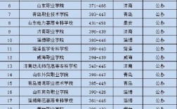 2024年山東省雙高計(jì)劃專科學(xué)校排名