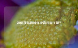如何獲得特種作業高壓電工證？