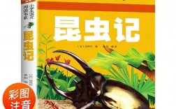 二年級(jí)課外書(shū)閱讀