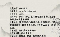 不識(shí)廬山真面目打一成語