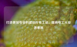 打造更加專業的建設廳電工證，提高電工從業者素質