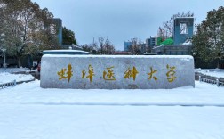 2025年安徽自考本科醫學助學加分唯一院?！霾横t科大學報名條件一覽