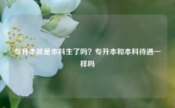 專升本就是本科生了嗎？專升本和本科待遇一樣嗎
