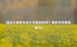 湖北計算機專業(yè)大學(xué)排名如何？哪些學(xué)校更具實力？