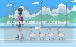 做人力資源的人都很厲害嗎？人力資源hr是干嘛的