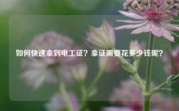 如何快速拿到電工證？拿證需要花多少錢呢？