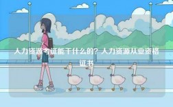 人力資源考證能干什么的？人力資源從業資格證書