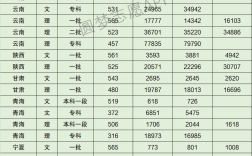 天津師范大學各專業分數線