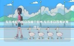 專升本校薦和自薦哪個(gè)好考(專升本自薦考試考什么)