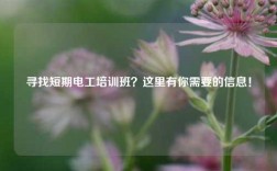尋找短期電工培訓班？這里有你需要的信息！