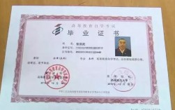 現(xiàn)在自學(xué)考什么證吃香(2024年什么證書(shū)含金量高)