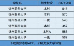 錦州醫(yī)科大學(xué)是一本還是二本