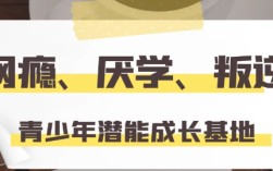 武漢市洪山區(qū)青少年全封閉管教學校-戒網(wǎng)癮！