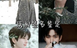 誠(chéng)毅有自考嗎