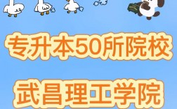 武昌理工學院專升本官網jwc.wut.edu.cn