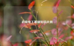 初級(jí)電工基礎(chǔ)知識(shí)大綱