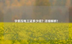 學(xué)低壓電工證多少錢(qián)？詳細(xì)解析！