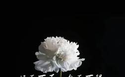 長(zhǎng)眠不起是什么意思_近義詞_來(lái)源