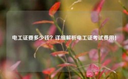 電工證要多少錢(qián)？詳細(xì)解析電工證考試費(fèi)用！