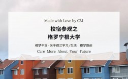 格羅寧根大學(xué)相當(dāng)于國(guó)內(nèi)什么檔次？什么水平？