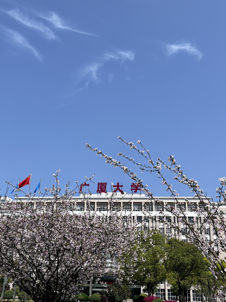 浙江廣廈職業(yè)技術學院(浙江最好的十所大專)-圖1