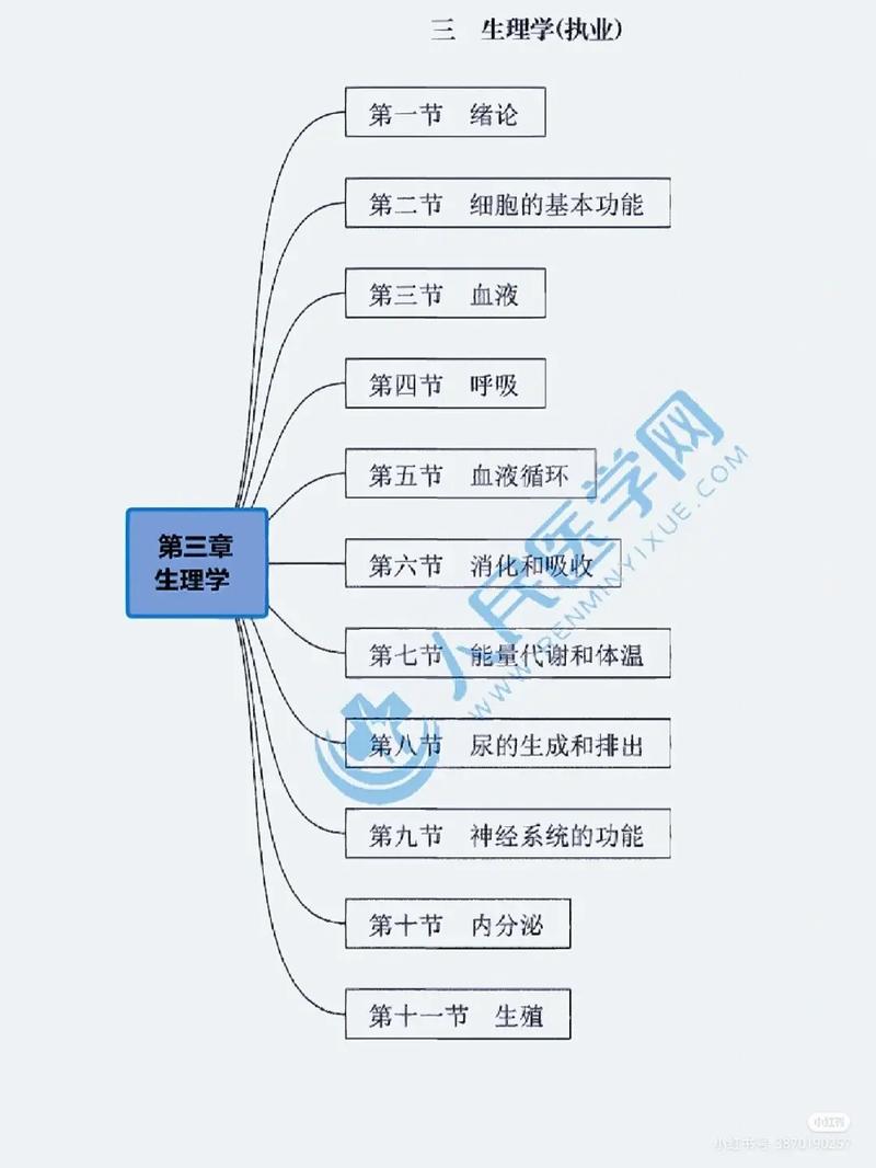 臨床醫(yī)學(xué)基礎(chǔ)知識大全(醫(yī)學(xué)基礎(chǔ)知識300個考點)-圖1