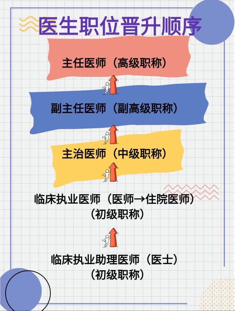 醫(yī)生職稱等級(jí)-圖1