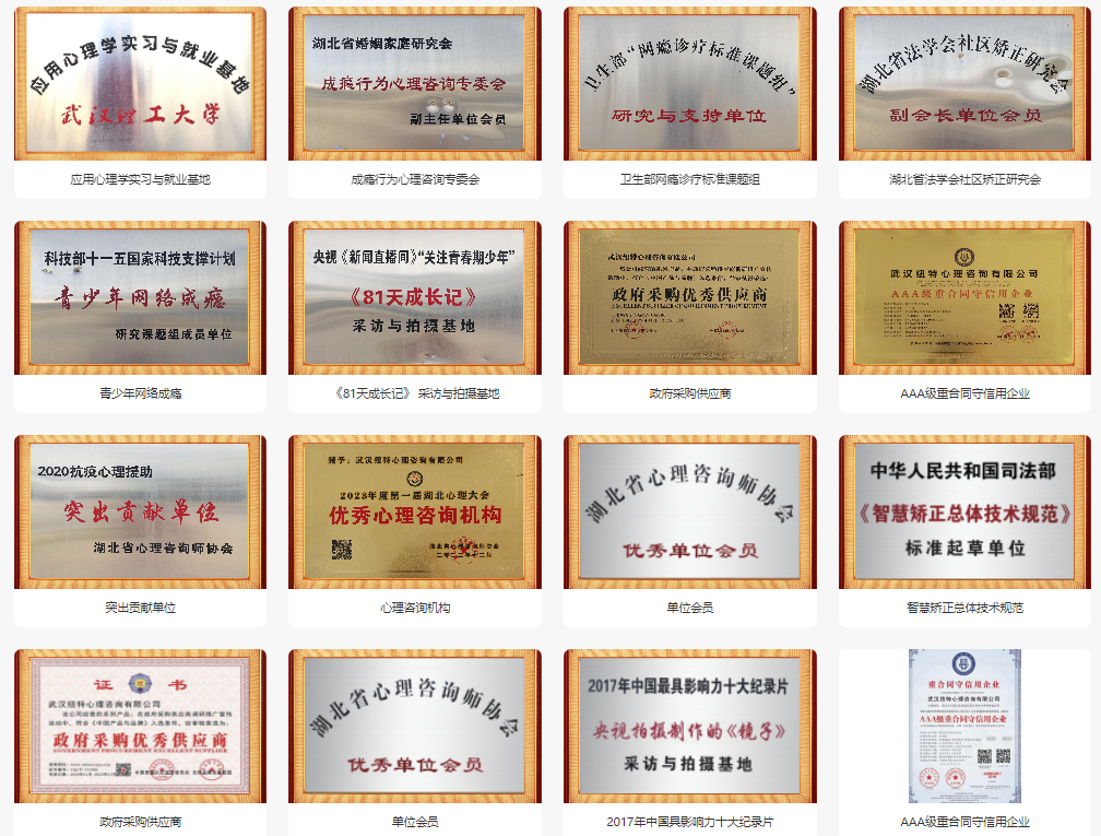 荊門的十大專門矯正青少年叛逆厭學網癮教育學校名單一覽-圖3