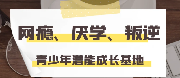  武漢東西湖區(qū)青少年全封閉管教學校-戒網癮！-圖1