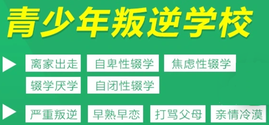 湖北武漢青少年叛逆管教學校-紐特心理,專注青少年網(wǎng)癮、叛逆-圖1