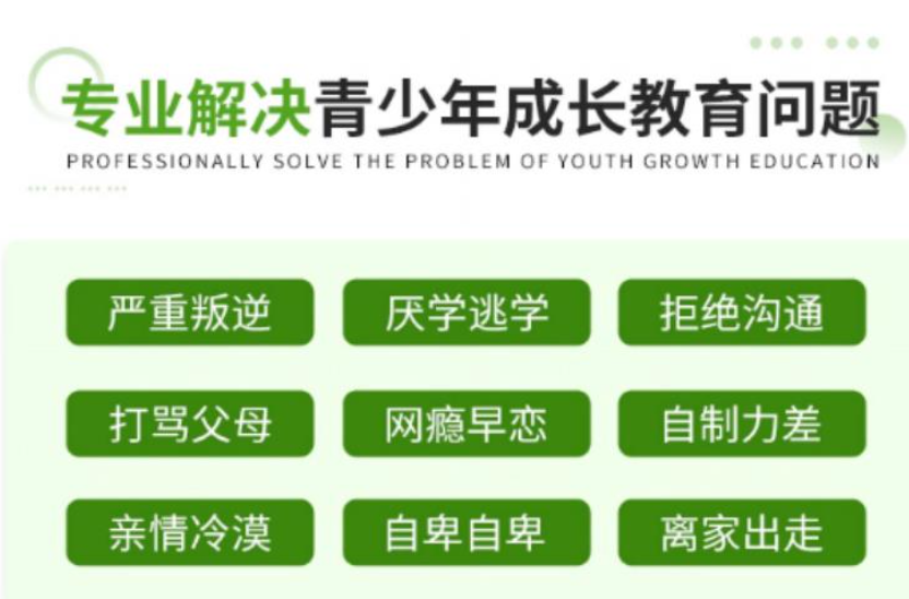 湖北武漢漢陽區(qū)專業(yè)叛逆青少年教育機(jī)構(gòu)2025年度精選榜單-圖2