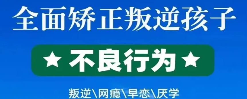 湖北武漢紐特心理疏導機構|叛逆、厭學、網癮-武漢紐特心理-圖1