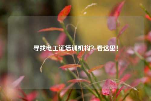 尋找電工證培訓機構？看這里！-圖1