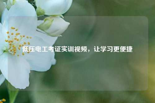 低壓電工考證實(shí)訓(xùn)視頻，讓學(xué)習(xí)更便捷-圖1