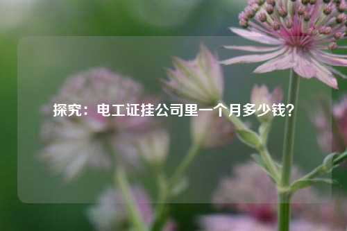 探究：電工證掛公司里一個月多少錢？-圖1