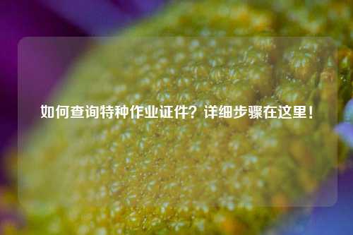 如何查詢特種作業(yè)證件？詳細(xì)步驟在這里！-圖1