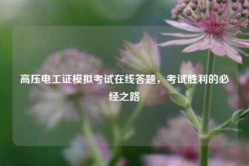 高壓電工證模擬考試在線答題，考試勝利的必經之路-圖1
